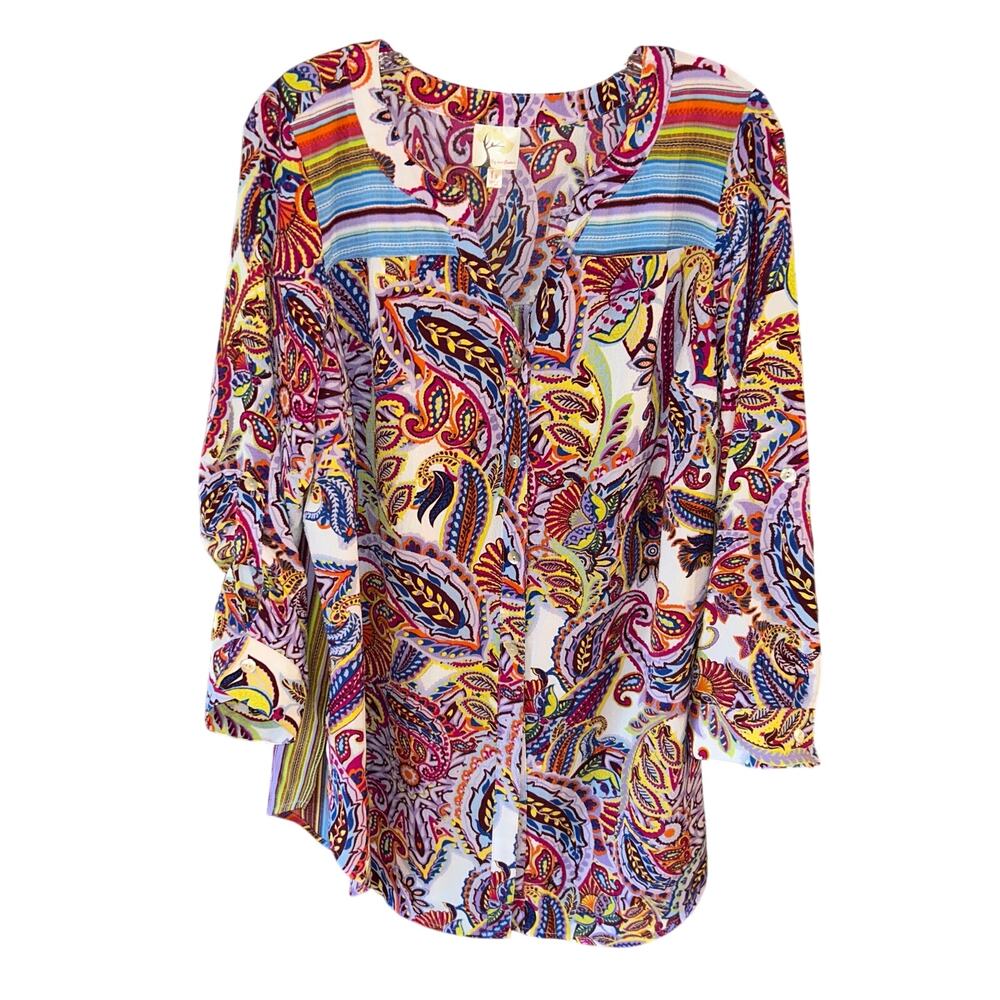 Fig & Flower 1X multicolored paisley and striped button-down tunic blouse top